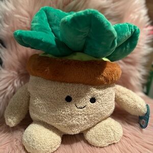 Bum Bumz Plush Succulent plush